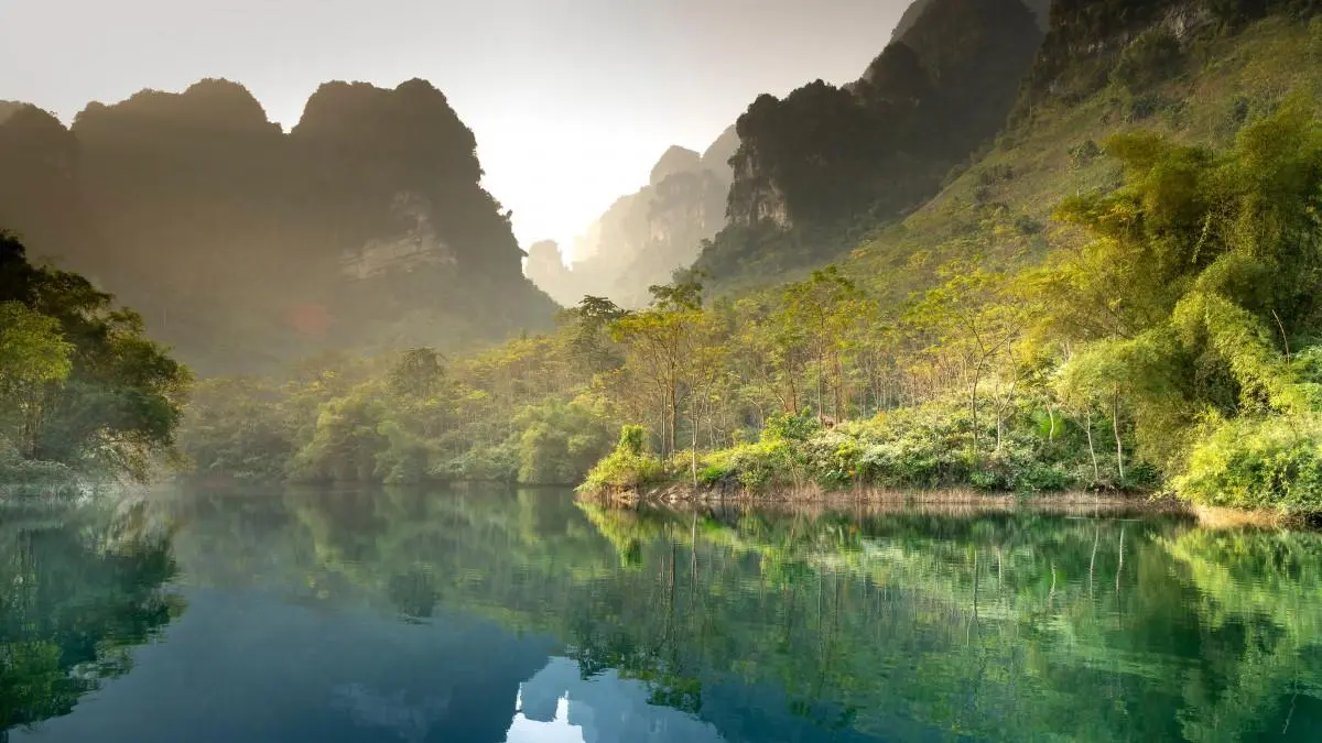 高效高标准高标准